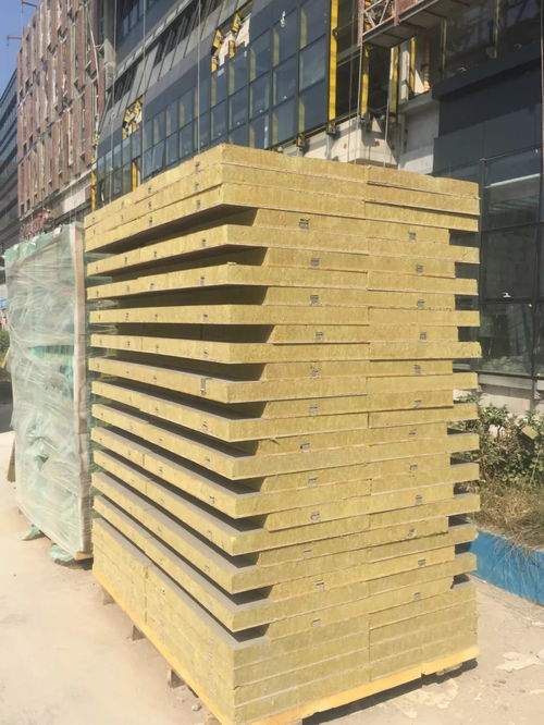 匠心智造 萬華開啟A級防火保溫材料新篇章，精品學校建筑新寵